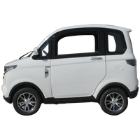 Voiture électrique mini EEC à deux portes et trois places sans permis / Quatre roues, 45 km/h, pour adultes, fermée, très vendue