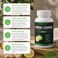 Garcinia Extract Capsules Natuurlijk Tropisch Fruit Supplement Balans Volwassenen Dagelijkse Lichaamsfunctie Halal Aangepaste Formule