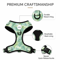 Ensemble de harnais pour chien anti-traction personnalisé, collier rembourré doux, laisse et harnais de qualité supérieure pour chien, distributeur de sacs à déjections canines, accessoires pour animaux de compagnie