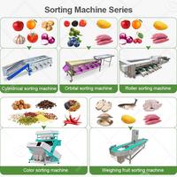 Perzik Track Droog Fruit Areca Olijf Sinaasappel Noot Industrieel Dragon Was- en Sorteermachine