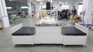 4 cửa hàng DWS (kích thước trọng lượng quét giải pháp) hậu cần thương mại điện tử vận chuyển nhãn máy in cho nhà máy sản xuất nhà sản xuất - Product Image 6