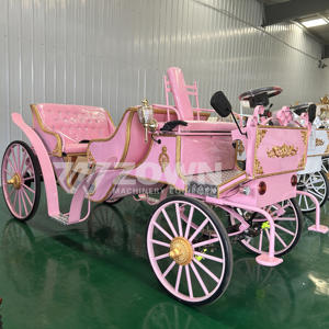 Kereta Kuda poni elektrik transportasi khusus oleh kereta kuda - Product Image 5