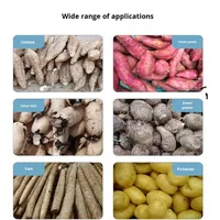 Petite broyeuse de manioc, moulin à manioc, machine à fabriquer de la farine et de l'amidon, machine à broyer le manioc