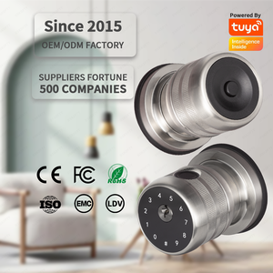 Serrure de porte intelligente Diosso avec clavier à empreintes digitales, serrure de porte électronique, poignée numérique intelligente, porte sans clé pour chambre à coucher - Product Image 1