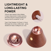 Diffuseur d'huiles essentielles en bois écologique sans eau, vente en gros, température constante 65°C, rechargeable par USB, diffuseur d'arômes portable