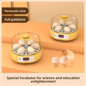 Incubateur d'œufs intelligent entièrement automatique pour petits élevages domestiques, avec lit d'eau, pour œufs de cailles, de poussins et de perroquets - Product Image 5