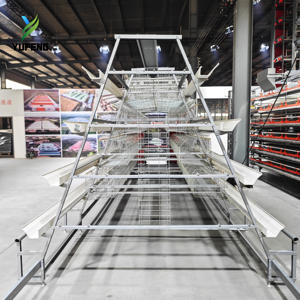 Cage à poulets de type A pour <span class=keywords><strong>poules</strong></span> pondeuses avec mangeoire en <span class=keywords><strong>PVC</strong></span> et <span class=keywords><strong>tuyau</strong></span> d'eau, résistante à la pression et à la chaleur - Product Image 6