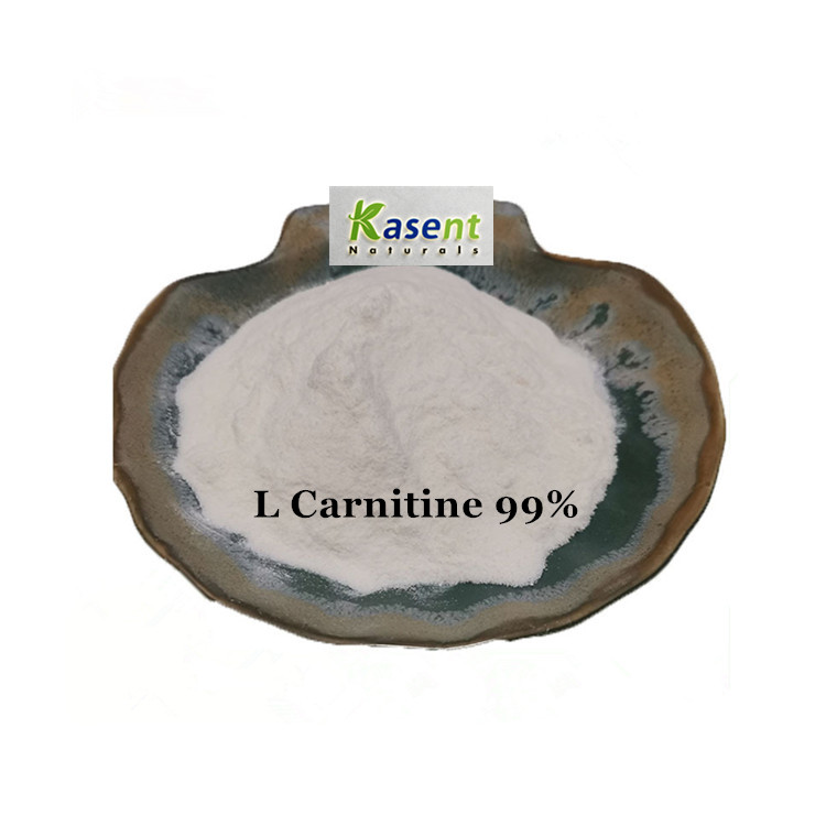 Wholesale L Carnitine Raw Material Sugar-Free Formula & Vitamin-Enriched |  Alibaba.com
