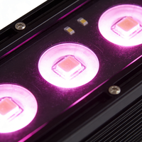 Les projecteurs LED d'extérieur 4-en-1 en aluminium 120W les plus populaires, barres LED haute puissance pour éclairage de scène