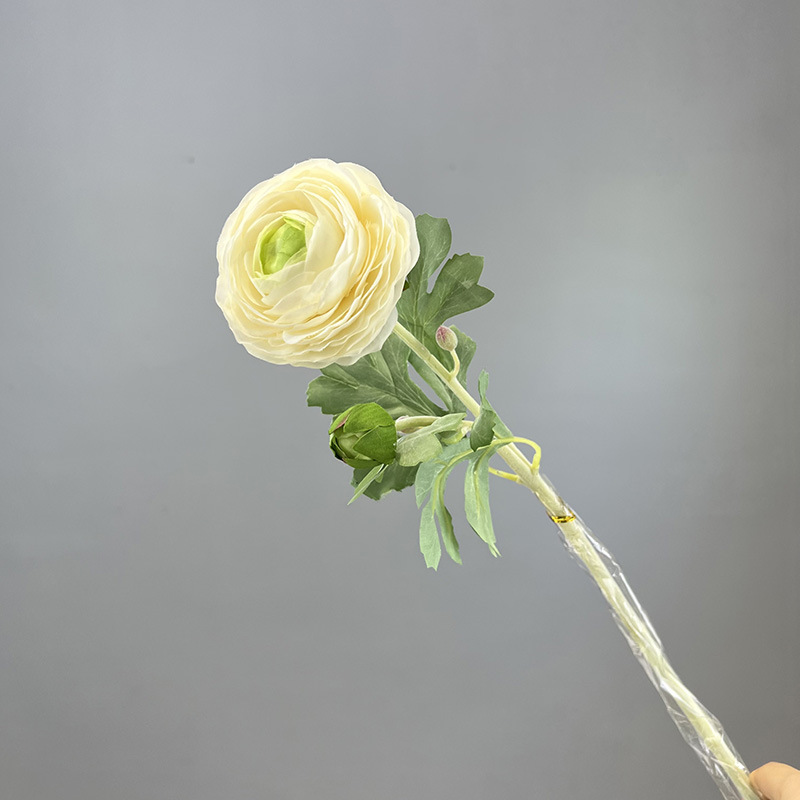 Blanco Verde