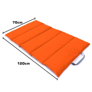 Alas hewan peliharaan dapat dilipat tahan air ringan portabel bepergian luar ruangan mudah dibersihkan tempat tidur anjing membawa tas alas es Grid diskon besar - Product Image 2