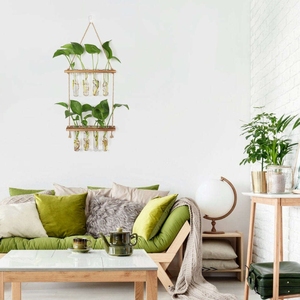 HYINDOOR Classique Écologique Hydroponique Station <span class=keywords><strong>De</strong></span> Propagation Des Plantes 8 Tubes Tube À Essai Vase Verre Planteur <span class=keywords><strong>Sapin</strong></span> Bois Pots <span class=keywords><strong>De</strong></span> Fleurs - Product Image 5
