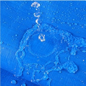 Bâche <span class=keywords><strong>de</strong></span> <span class=keywords><strong>serre</strong></span> multifonctionnelle légère et imperméable en PE enduit résistant aux UV <span class=keywords><strong>pour</strong></span> camping extérieur – Grande promotion - Product Image 5