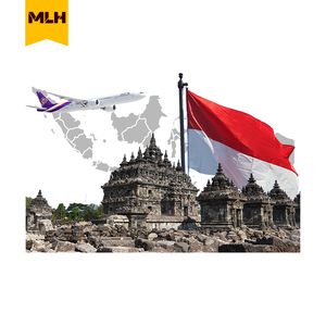 从中国到印度尼西亚的最便宜的空运DDP海运货运代理 - Product Image 1