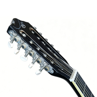 Guitarra Acústica de 10 Cuerdas con Tapa de Tilo de 21 Trastes, Tono Suave, Resonancia Natural, Sonido Claro, Guitarra Folk Duradera para Estudiantes