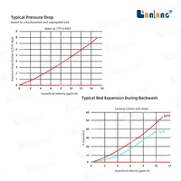 Lanlang Granule de charbon actif pour l'élimination catalytique des chloramines en coquille de noix de coco Granulés de charbon actif de qualité alimentaire