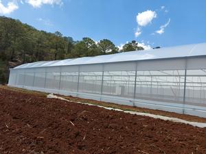 Agricola Del Cerchio Serra Telaio Polytunnel Casa Verde - Product Image 3