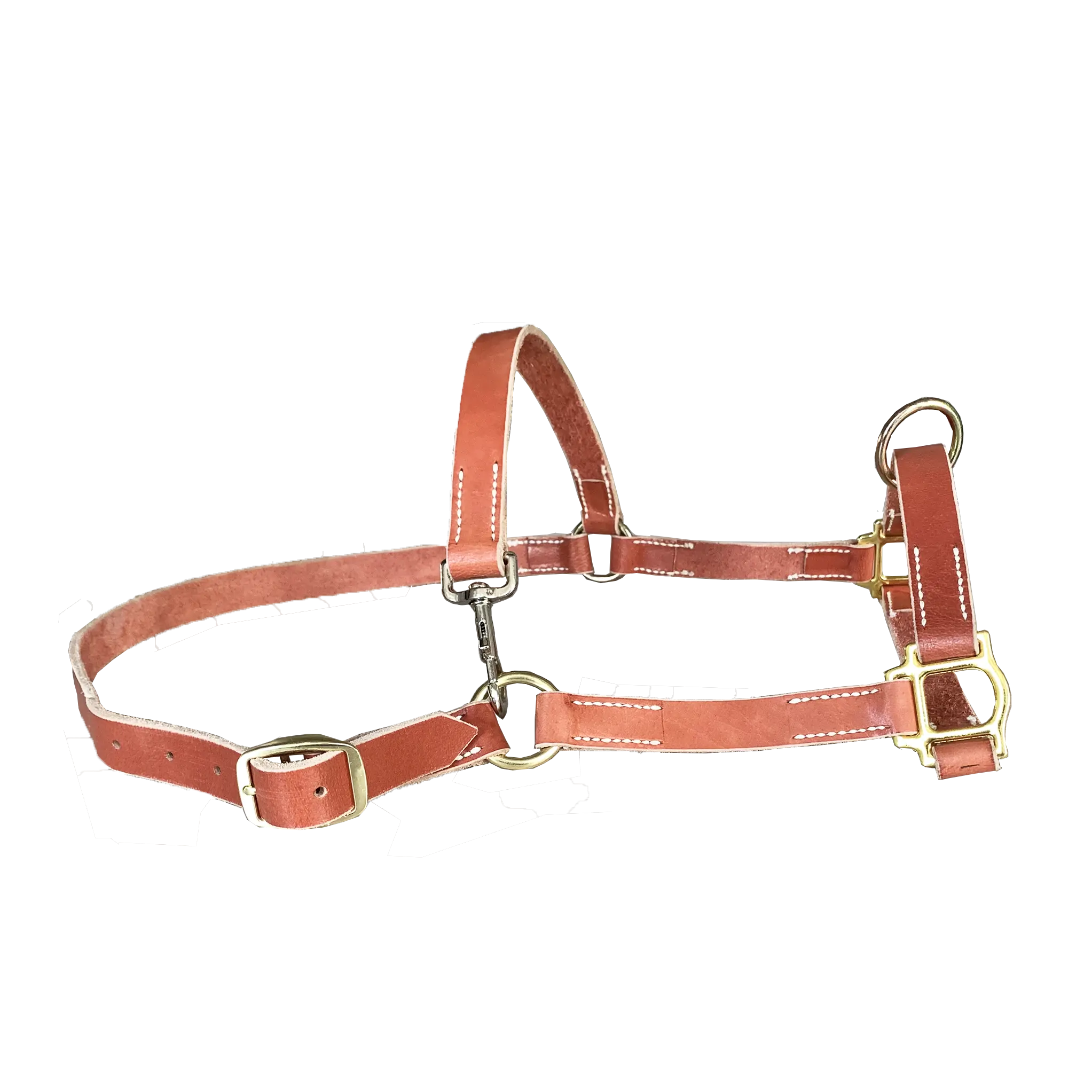 Newest Leather High Quality Durable Horse Collar Waterproof Riding Equestrian Equine Horse Halters