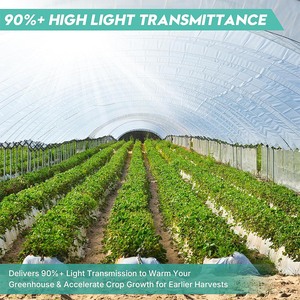 Film plastique en polyéthylène stabilisé aux UV de 200 microns pour couverture de vergers, vignobles, tunnels et serres agricoles - Product Image 3