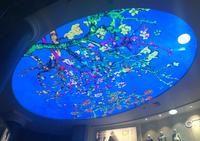 Écran LED Sky Screen P4 d'intérieur, écran publicitaire couleur avec graphiques animés, SDK OEM, barre extensible - Garantie 1 an