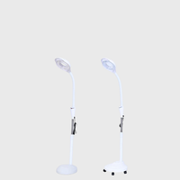Soins de la peau pour Salon de beauté, équipement pour les soins de la peau du visage, loupes avec lumière Led, populaire, ajustable, salon de beauté/