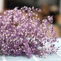 Fleurs séchées de gypsophile (Babysbreath) longue durée, directement de l'usine, pour bouquets de mariage et décoration de fêtes à domicile
