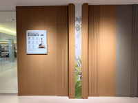 Panneau mural en composite bois-plastique 3D ignifuge, imperméable et écologique, revêtement intérieur pour hôtel
