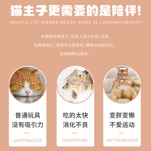 ของเล่นลูกบอลโรลี่โพลี่สำหรับแมว ยี่ห้อพอลแคท ของเล่นอัตโนมัติ ช่วยให้แมวเพลิน ทนทาน ของเล่นแบบมีปฏิสัมพันธ์สำหรับลูกแมวและแมวโต - Product Image 2