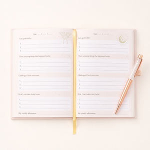Carnet de réflexion quotidienne à couverture rigide, rose poudré, or rose, motif chrysalide lunaire et lune, gaufré, coffret cadeau avec stylo, vente en gros - Product Image 3
