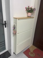 IYANEN Moderno Mueble Zapatero Abatible para Sala de Estar, Estructura de Acero Completa con Parte Superior con Diseño de Madera, Estante de Almacenamiento de Zapatos Estrecho que Ahorra Espacio