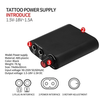 Nouvelle usine Kit de tatouage complet sans fil alimentation encres cartouche aiguilles Interface cc ensemble de Machine à tatouer rotative professionnelle
