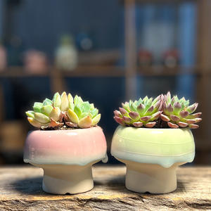 Jardinières en céramique pour plantes succulentes, décoration créative pour la maison, ornements, glaçure fluide, petits pots en forme de champignon, pots à glace craquelée pour <span class=keywords><strong>Lithops</strong></span> - Product Image 2