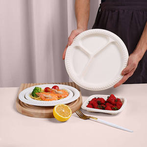 Square Disposable Plates For Wedding Reception Environmentally Friendly