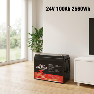Paket Baterai LiFePO4 24V 100Ah 200Ah 300Ah dengan BMS Pintar untuk Sistem Tenaga Surya RV Camper Van - Product Image 1
