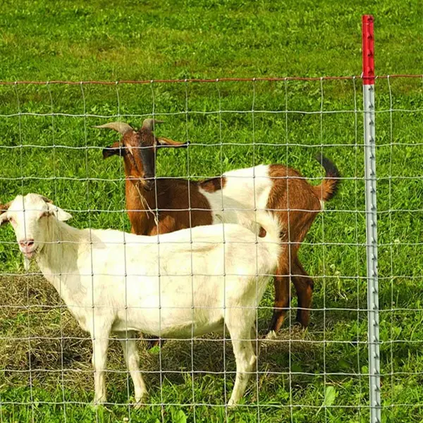 Offre Spéciale porc moutons et de chèvre clôture du champ
