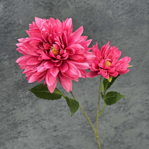 ดอกไม้ผ้าไหมเทียม <span class=keywords><strong>Epiphyllum</strong></span> และดอกรักเร่เครื่องประดับตกแต่งบ้านงานแต่งงานตกแต่งดอกไม้ข้ามพรมแดน - Product Image 2