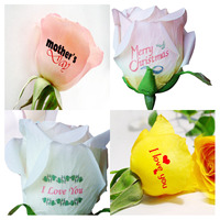 (100 pièces/lot) Papier transfert transparent imprimable par jet d'encre, format A4, blanc, pour décalcomanie par transfert d'eau, logo personnalisé pour tasses, cristal