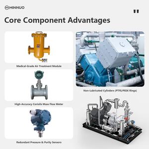 Ensemble de compresseurs CNG de haute précision pour la fabrication spécialisée | Pression stable et alimentation en gaz fiable - Product Image 4