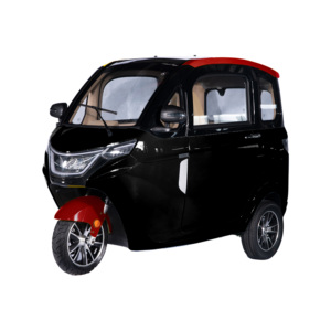 Mini voiture <span class=keywords><strong>3</strong></span> <span class=keywords><strong>roues</strong></span> EEC COC Tricycle électrique Voiture Cabine fermée Prix d'usine Chine - Product Image 5