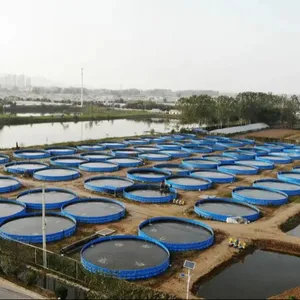 Wholesale Ras Aquaculture Tilapia Growing System Fish Shrimp Farm Pisciculture Equipment Drum filtration system