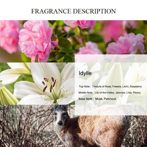 Unico AROMA <span class=keywords><strong>Idylle</strong></span> <span class=keywords><strong>profumo</strong></span> olio di grande marca Designer di profumi oli per le donne <span class=keywords><strong>profumo</strong></span> di <span class=keywords><strong>profumo</strong></span> di olio di fragranza - Product Image 2