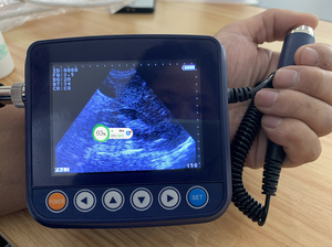 Échographe vétérinaire Animaux de Compagnie <span class=keywords><strong>Portable</strong></span> Pour La Grossesse Animale - Product Image 4