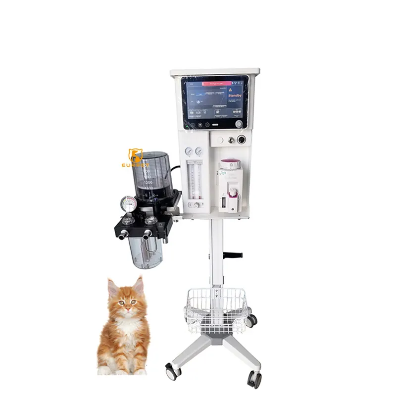 EUR PET harga terbaik peralatan pernapasan dokter hewan anestesi dengan Ventilator