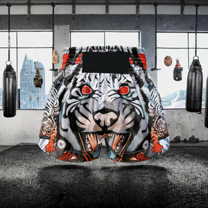 Shorts de boxe Muay Thai unisexes en satin, shorts de combat par sublimation, logo personnalisé, marque privée, vêtements d'entraînement - Product Image 2