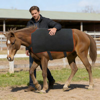 Couverture chauffante infrarouge à lumière rouge pour le bien-être des animaux, sans EMF, à impulsions, professionnelle, pour chevaux et équidés