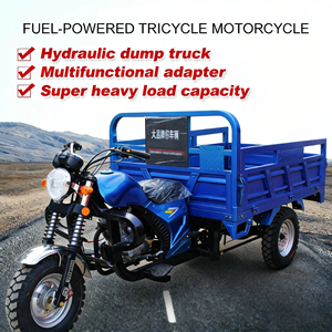 จีนจำหน่ายรถ<span class=keywords><strong>สามล้อ</strong></span>บรรทุก 3 ล้อ 200 ซีซี แบบกำหนดเอง รถ<span class=keywords><strong>สามล้อ</strong></span>เครื่องยนต์เบนซินสำหรับการเกษตร - Product Image 1