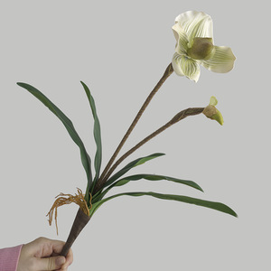 ใบปาฟิโอเพดิลัมจำลองแบบ 2 หัว รุ่นโกลเด้นบอย วัสดุโพลีเอสเตอร์ ของตกแต่งบ้านสำหรับห้องนั่งเล่น เหมาะสำหรับงานแต่งงาน - Product Image 2