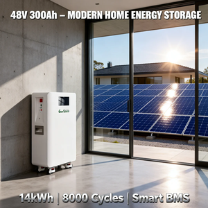 Système de stockage de batterie solaire LiFePO4 48V 300Ah - 14kWh mural avec roulettes pour la maison et l'énergie de secours hors réseau, OEM Chine - Product Image 2