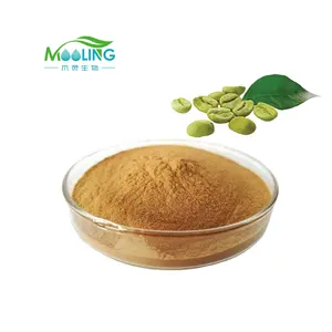 Hot Selling Green Coffee Bean Extract Powder Green Coffee Bean Extract 50% Chlorogenic Acid