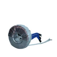 Noyau toroïdal de haute qualité 50W-5000W entrée 110V 120V transformateurs pour la nouvelle énergie